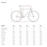 6KU Fixed Gear Bike – Nebula 1-608