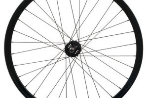 Weinmann Front Wheel DP 18 - Black-0